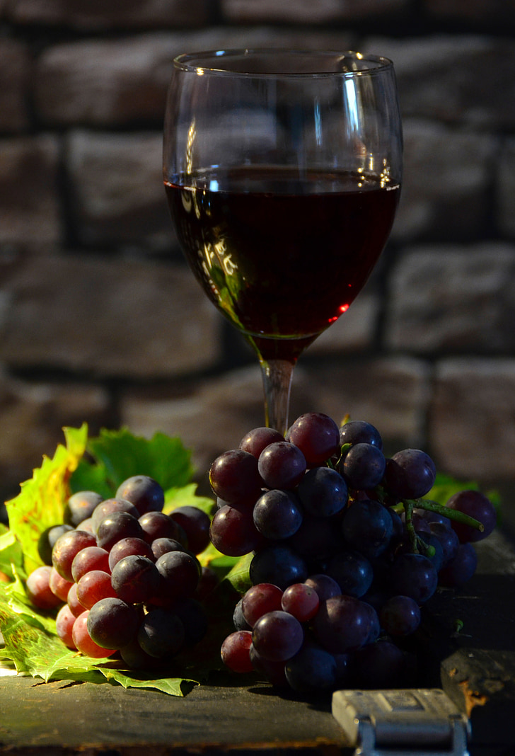 wine glass, grapes, wine, red grapes, back light, still life, grapevine