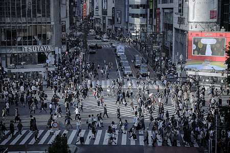 shibuya, intersection, skyline, outdoors, building, tokyo, shibuya crossing