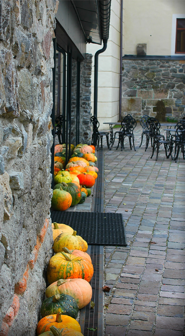 pumpkin, autumn, street, reflection, contrast, orange, glass