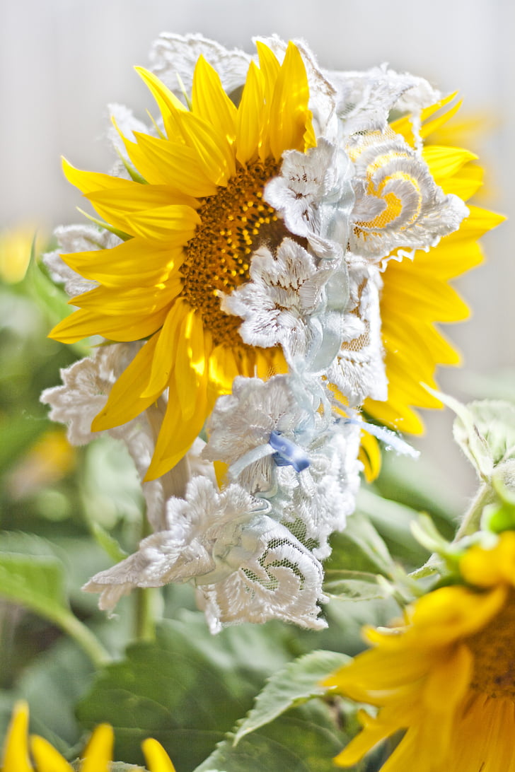 garter, wedding, sunflower, white, yellow, flower, flowers