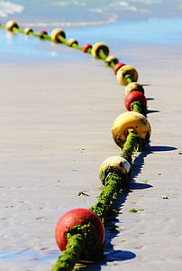 lanac za sidro, more, plaža, loptice, Rosa, morske alge