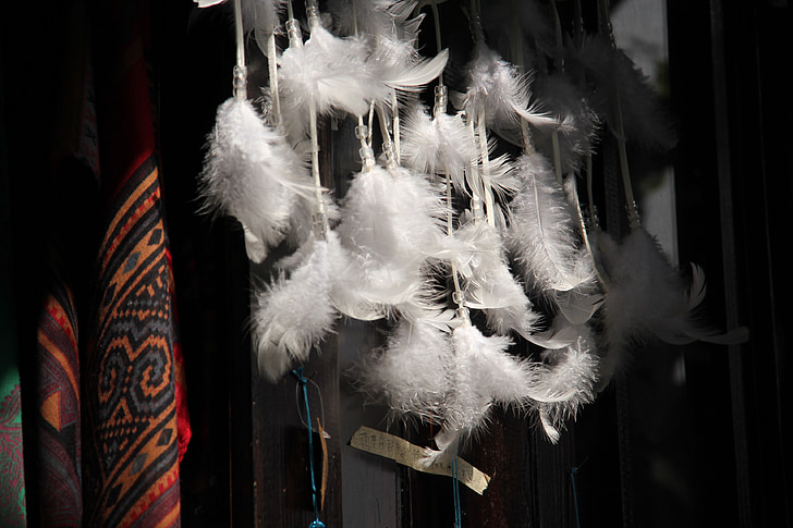 feather, the scenery, old street, humanities, shop, white