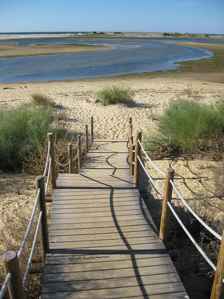 distanţă, Web, peisaj, Algarve, Boardwalk, însorit, starea de spirit