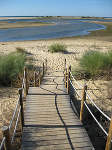 bort, webben, landskap, Algarve, strandpromenaden, soligt, humör