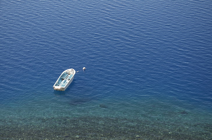 white, speedboat, body, water, blue, sea, ocean
