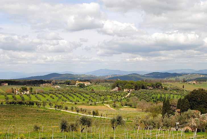Toszkána, Chianti, Olaszország, táj, nézet, szőlőültetvények, tavaszi