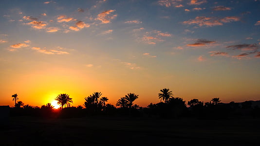 Marrakech, solnedgång, Palm, Marocko, Horisont, kvällshimmel, humör