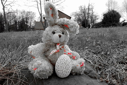 กระต่าย, ตุ๊กตาผ้า, ผ้า, ยัดไส้สัตว์, ตุ๊กตาหมี, น่ารัก, น่ากอด