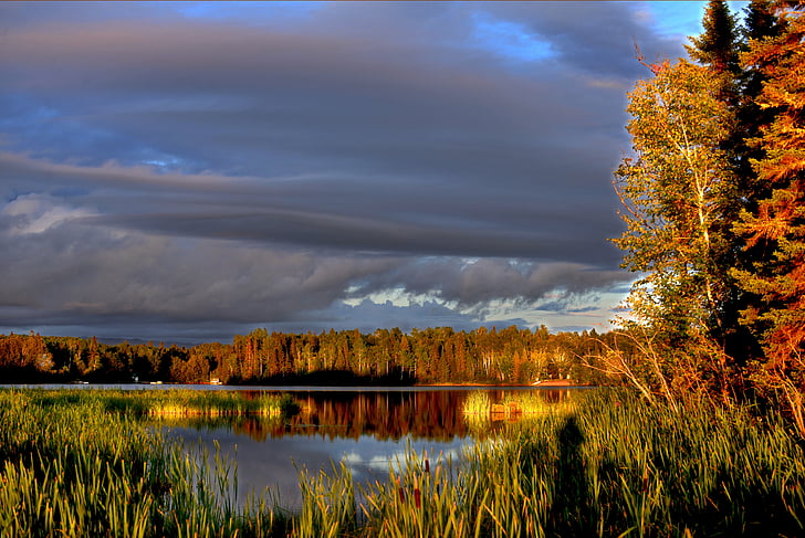 krajina, jezero, Příroda, Marsh, stromy, mraky, Québec