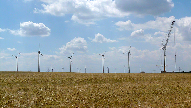 wind turbine, cornfield, assembly
