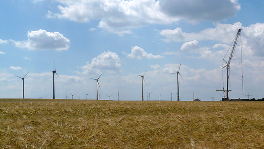 turbina de vento, campo de milho, montagem