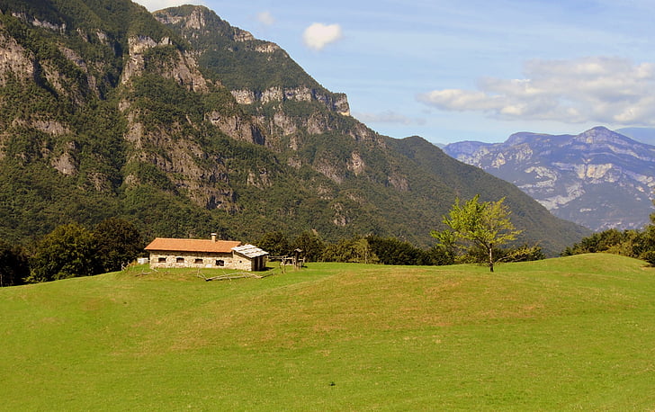 Alm, Prato, Mountain, Italien, hus, grön, träd