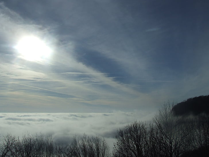 inversion, Cloud, tar sten, Bøg hg, tåge, natur, skov
