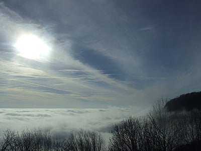 inversion, molnet, tjära sten, Beech hg, dimma, naturen, skogen