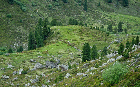 austria, landscape, valley, hills, mountains, ravine, trees