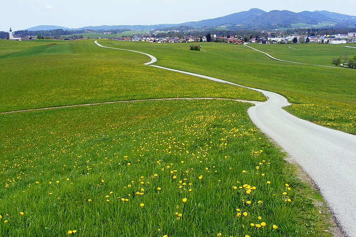 Àustria, Salzberg, muntanyes, paisatge, l'estiu, primavera, carretera