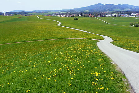 Austria, Salzberg, pegunungan, pemandangan, musim panas, musim semi, jalan