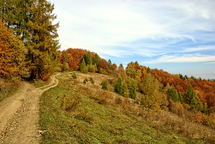 Polsko, Pieniny, podzim, slunce, barvy, listoví, svátek
