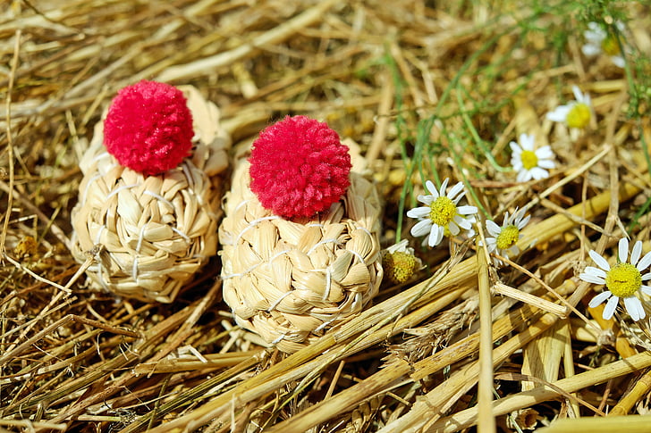 shoes, straw shoes, straw, bobble, red, nature, no people