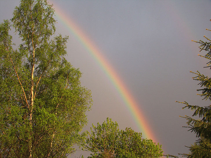 rainbow, summer, weather