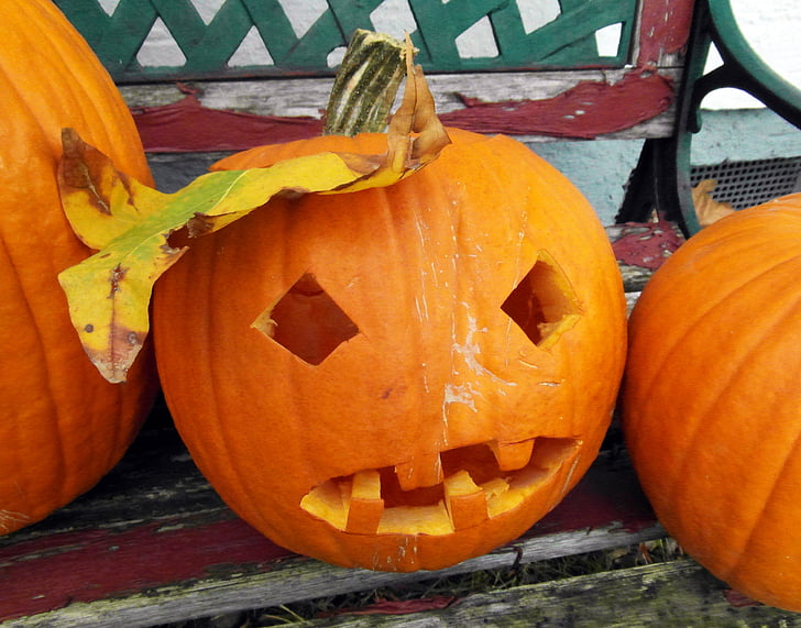 zucca, zucca di Halloween, vendemmia, giorno del ringraziamento, arancio, autunno, decorazione