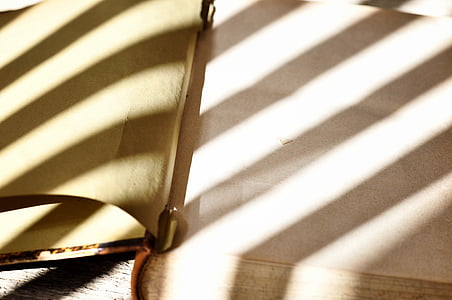 book, old, antique, book pages, empty pages, sunlight, light and shadow