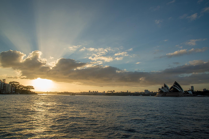 Sydney harbour, soluppgång, vatten, solen, lysande, glänsande, glwing