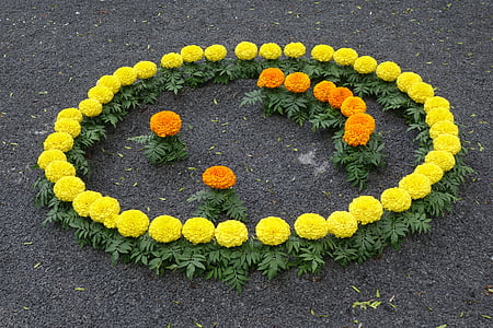 Květinový smajlík, žlutá oranžová tagetes, výstava, Záhřeb floraart 2017, Příroda, žlutá, květ