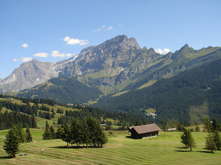 Swiss, Suíça, Europa, paisagem, montanha, natureza, Verão
