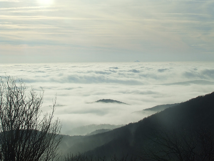 au-dessus des nuages, trois pierre, hêtre hg, brouillard, nature, Forest