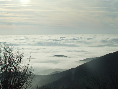 πάνω από τα σύννεφα, τρία πέτρινα, οξιά hg, ομίχλη, φύση, δάσος