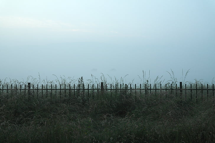 misty, fog, air, mist, grass, fence