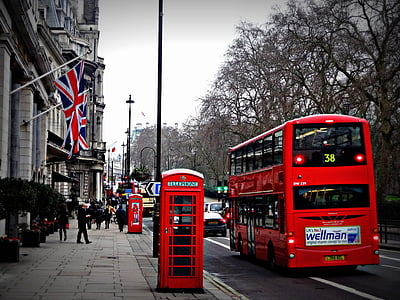 Londres, carrer, telèfon, cabina, autobús vermell, autobús de dos pisos, Londres - Anglaterra