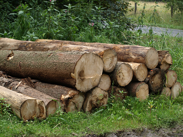 troncs d'arbre, treballs forestals, se, apilada, troncs de fusta, reduir