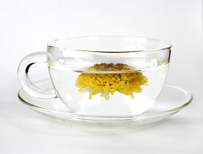 cup, tea, chrysanthemum tea, food, breakfast