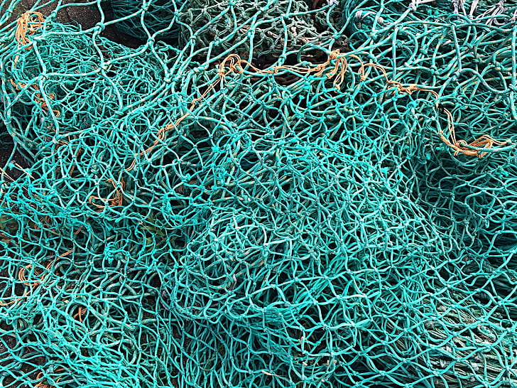 zvejas tīkls, zivis, zaļa, zveja, jūra, Fišers, tīkls