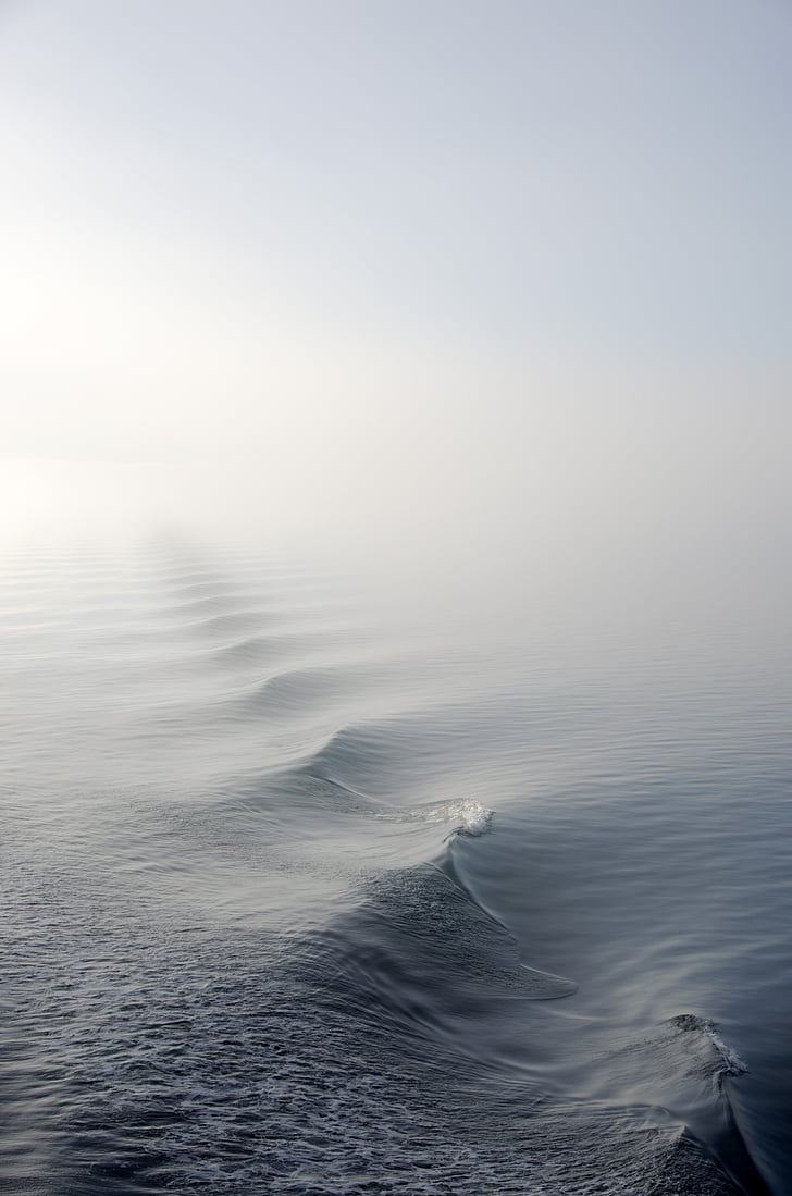 fog, mist, nature, ocean, sea, water, wave