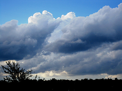 nuvens, agitando, de rolamento, diagonal puxando, movendo-se, árvore no horizonte, céu azul