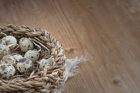 basket, egg, quail eggs, small, small eggs, natural product, close