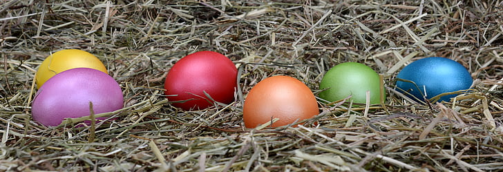 ous de Pasqua, Setmana Santa, ou, decoració, decoració de Pasqua, bones festes, colors