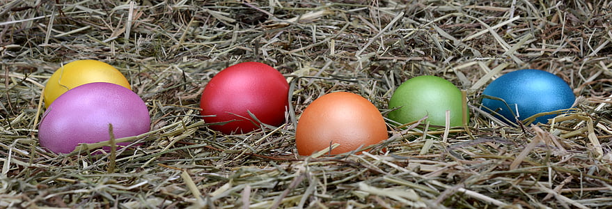 pääsiäismunia, Pääsiäinen, muna, sisustus, koriste, Hyvää pääsiäistä, värikäs