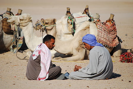 deserto, camelo, África, pessoas, areia, adulto, somente adultos