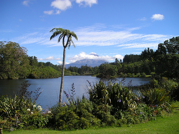 Naujoji Zelandija, vulkanas, ežeras, rießenfarn, paparčiai