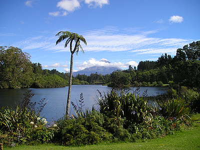 Nový Zéland, sopka, jazero, rießenfarn, paprade
