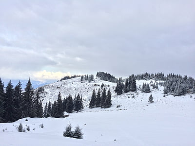 paisatge, l'hivern, neu, cel, muntanya, natura, arbres