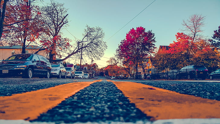 asphalt, autumn colours, autumn leaves, bright colours, cars, city, fall