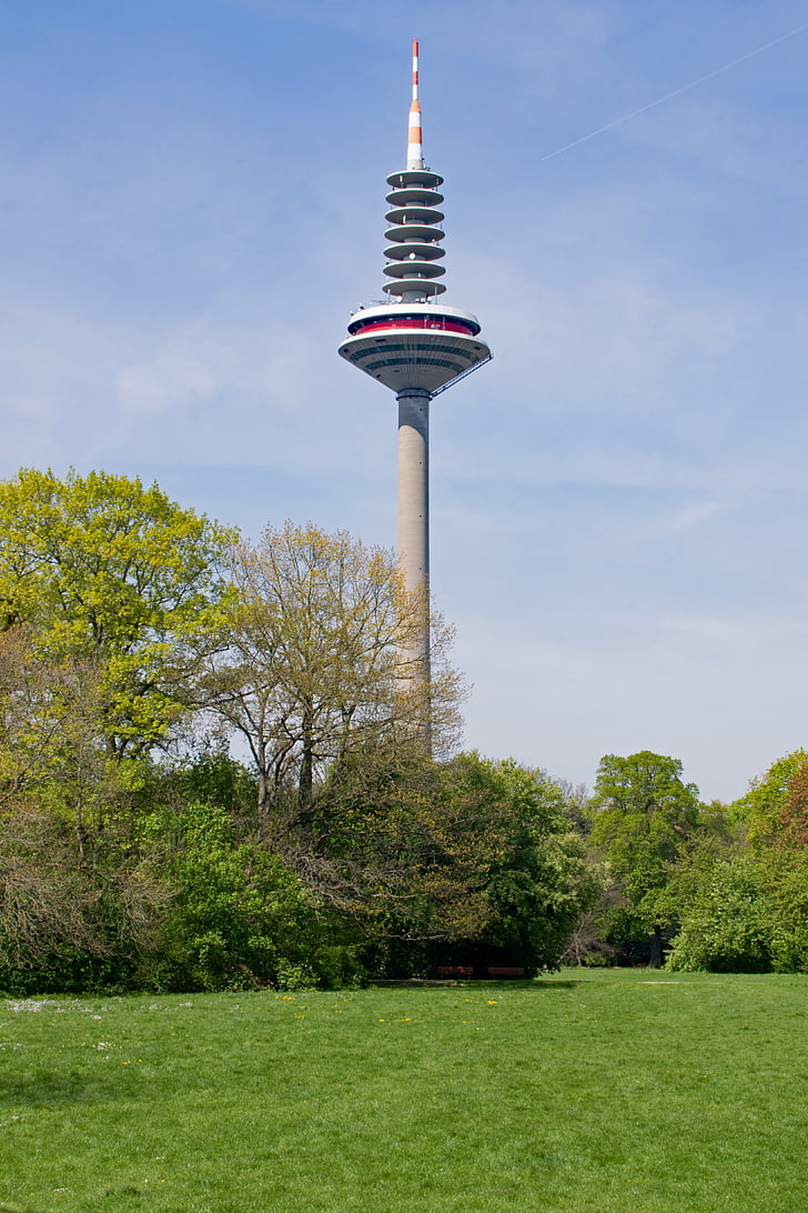 televīzijas tornis, zaļa pils parks, Frankfurte pie Mainas, Hesse, Vācija, parks, dārza
