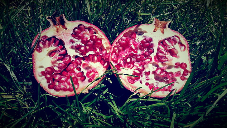 pomegranate, fruit, nature