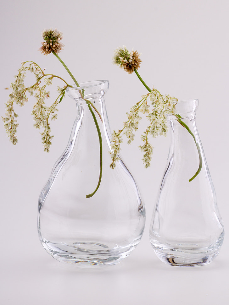 stilla liv, glas, blommor, flaskor, transparent, Glasögon