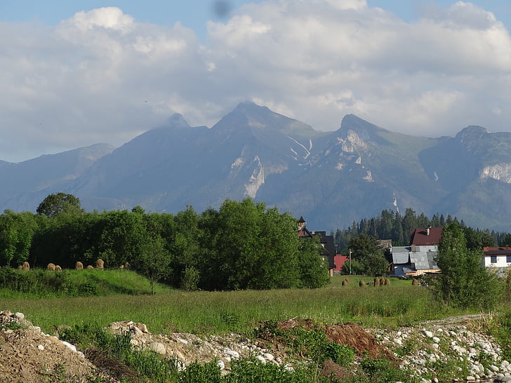Tatry, bjerge, sommer, landskab, Se, Podhale, Polen